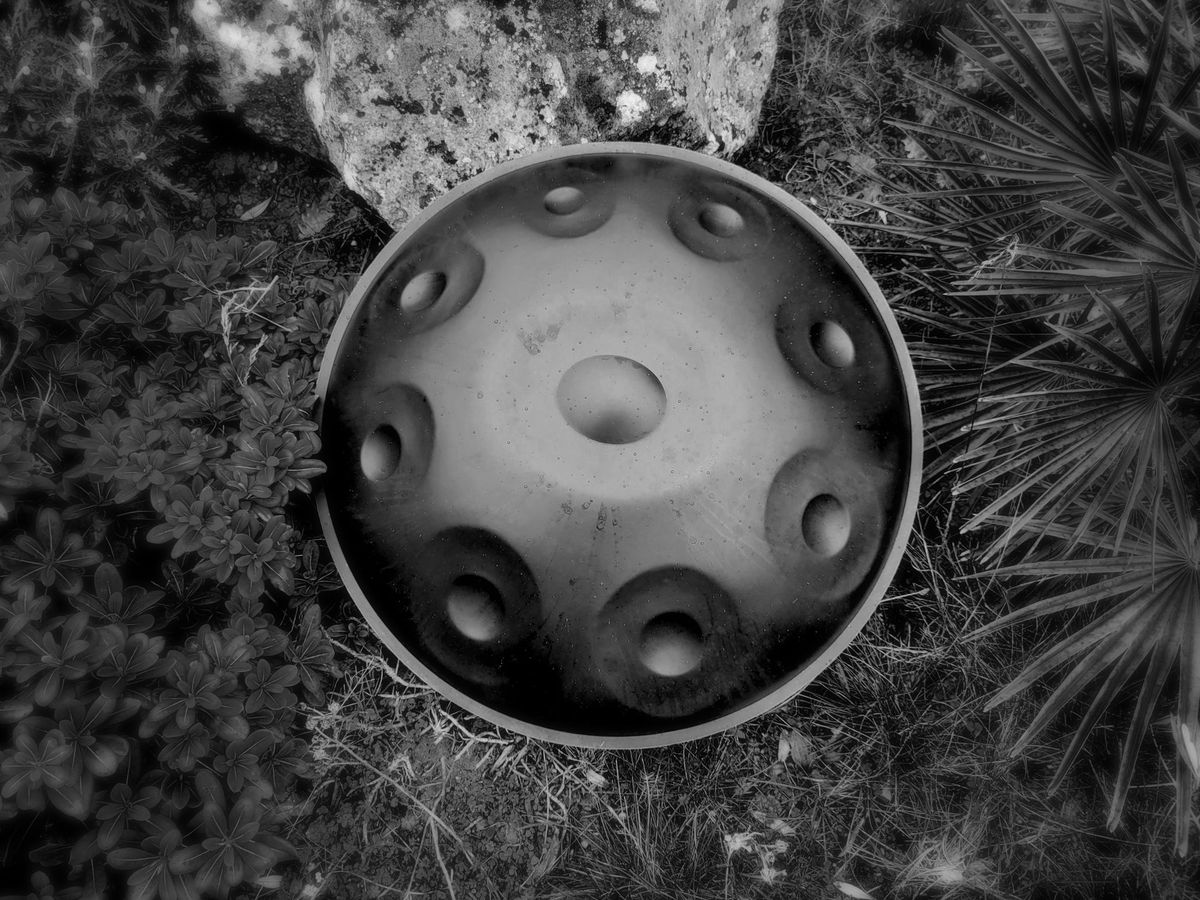 Handpan Mistral Pans en location